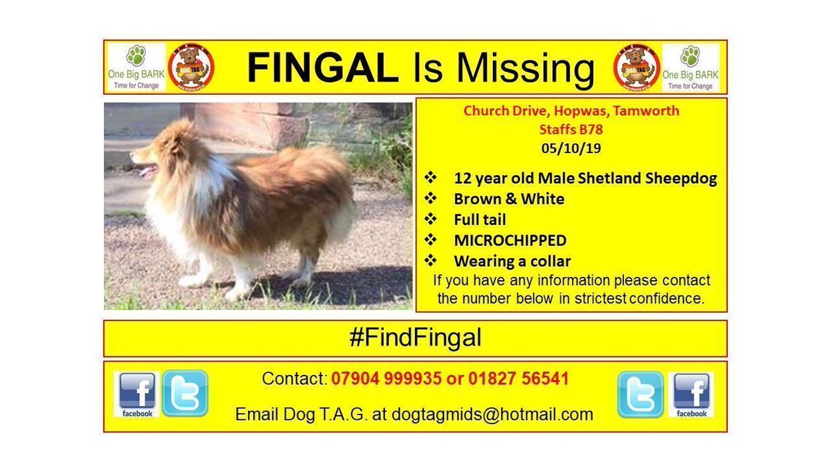 DogTAGMids's tweet photo. Church Drive, Hopwas, Tamworth
Staffs B78
05/10/19

12 year old Male Shetland Sheepdog
Brown &amp; White
Full tail
MICROCHIPPED
Wearing a collar

Contact: 07904 999935 or 01827 56541 https://t.co/JTfKbYxKGz