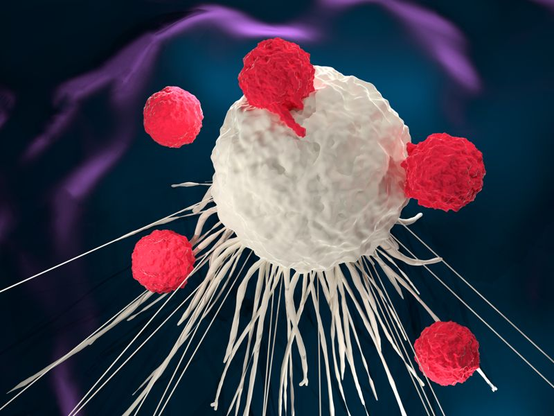 Medtorek's tweet photo. Las células T pueden ser diseñadas para atacar y atacar las células cancerosas. 
#cellinteraction #cancer
Via @nature 
⚓️https://t.co/rtkzbhJVoR

@fcounago @mendez_bailon @Dr_JERR @Oncoblogg
@MsConcu @roentgen66 @ManuduManuel @javikin84 @VanessitaDeniz https://t.co/jPviKM53AL