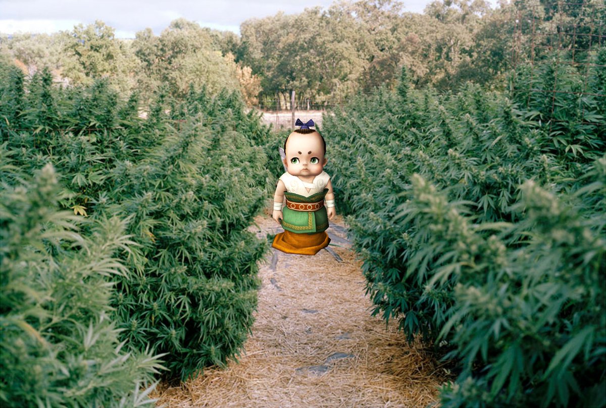 To make you people happy, we are selling this stuff at a special 50% discount... or just buy it full price...