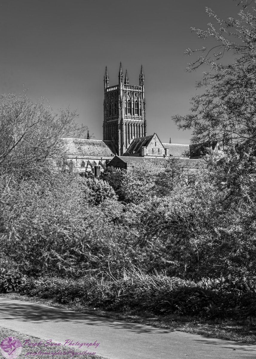 purpleswanphoto's tweet photo. #WorcestershireHour As I was saying to my friend @sukipantal, I had hoped to see more colour yesterday, but as I walked around, seeing people having to walk &amp; run apart from each other, rather than walking &amp; running ‘normally’, I felt a bit grey. #emptybenches #WorcestershireHour https://t.co/4ARlxZH2vh