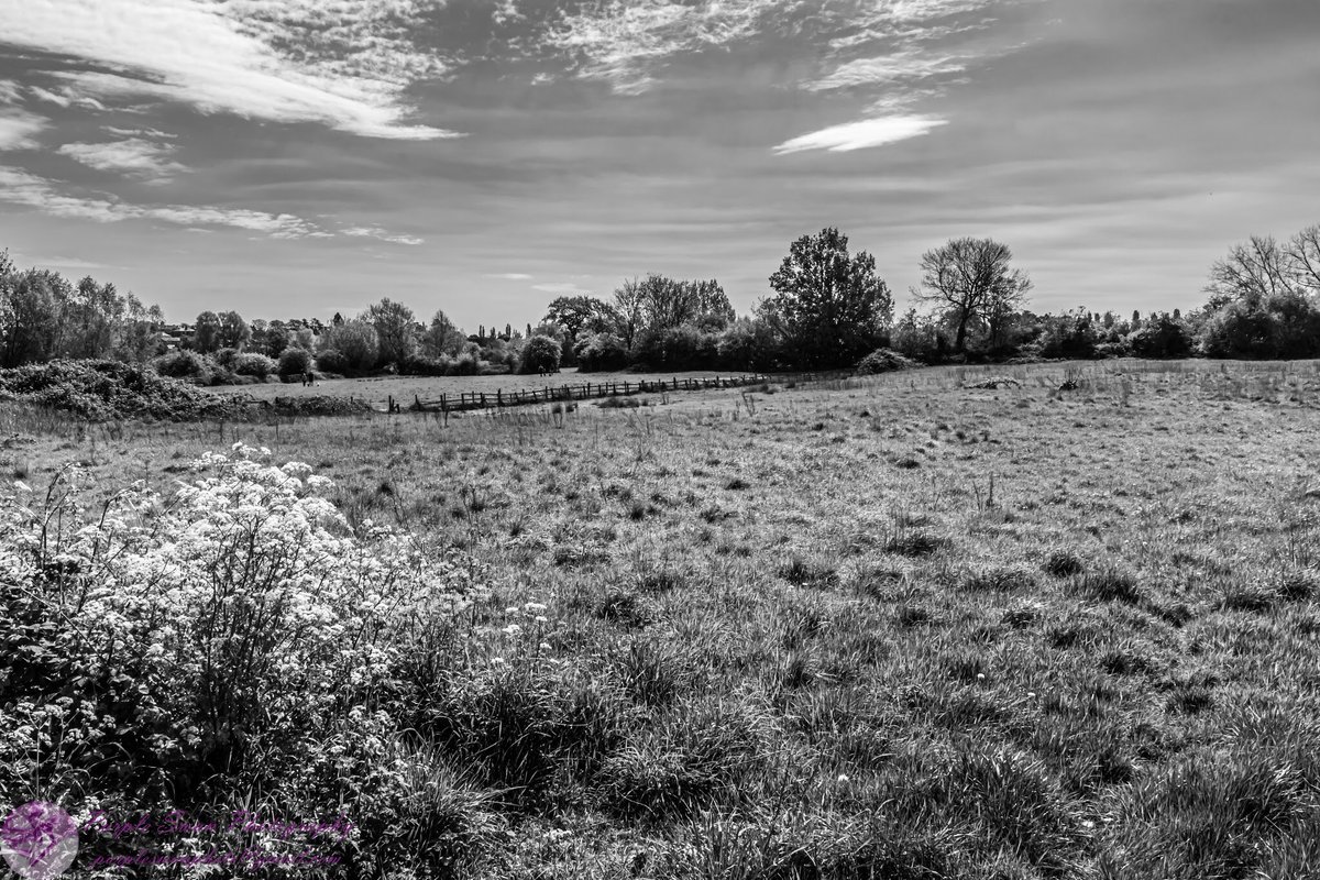 purpleswanphoto's tweet photo. #WorcestershireHour As I was saying to my friend @sukipantal, I had hoped to see more colour yesterday, but as I walked around, seeing people having to walk &amp; run apart from each other, rather than walking &amp; running ‘normally’, I felt a bit grey. #emptybenches #WorcestershireHour https://t.co/4ARlxZH2vh