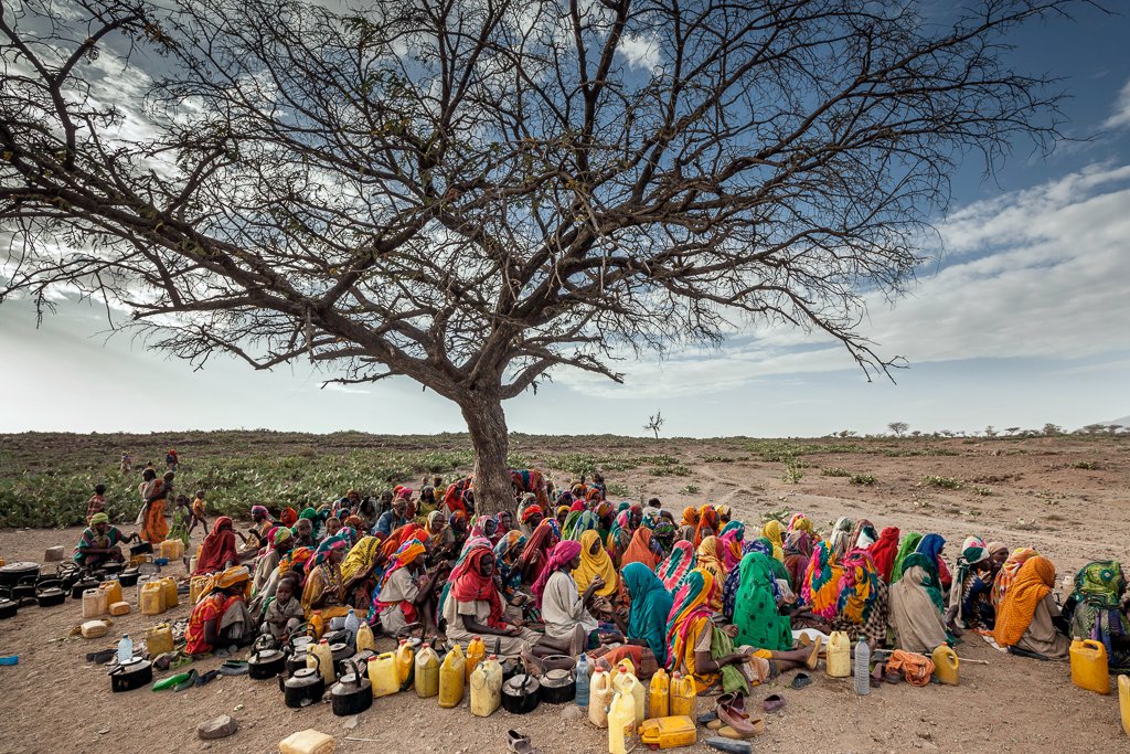 IFPRI's tweet photo. In 2015, #Ethiopia experienced one of its worst #droughts in decades. @WorldDevJournal study finds no evidence that drought led to widespread increases in child #undernutrition. https://t.co/aSkOLDKrRO @kallehi @IFPRI_ESSP @WorldBank @uni_copenhagen @PIM_CGIAR @EU_Commission https://t.co/8a8z0MkYpA
