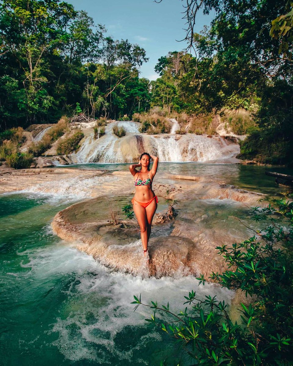 Visit Chiapas App tweet media