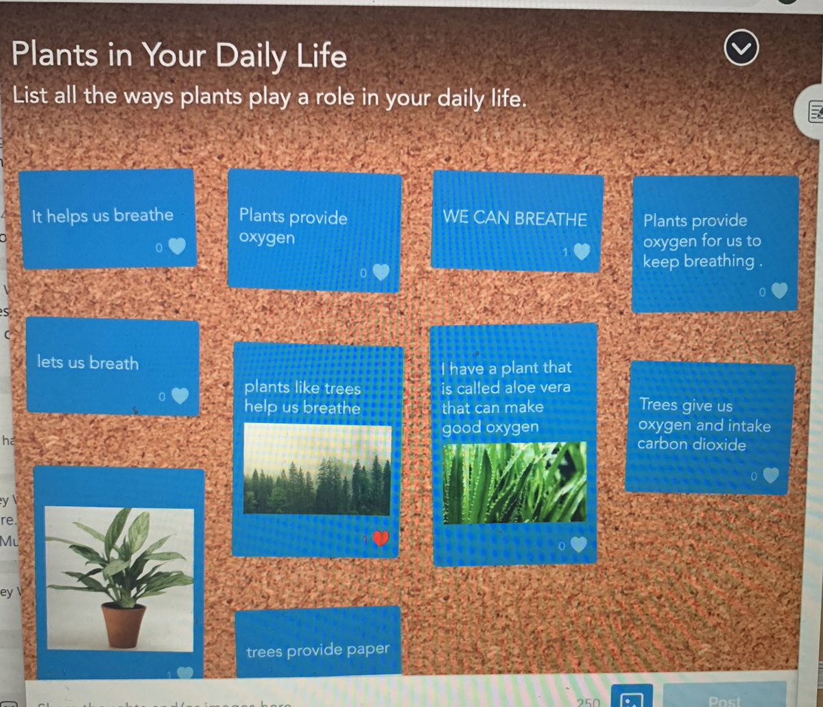 edison_school's tweet photo. Peer Collaboration is a powerful learning tool. @nearpod has made peer collaboration fun and engaging with their collaboration boards. Students in @DrJeffScience class were able to share ideas and learn from each other. #EdisonHome @LopezprinciPAL https://t.co/xNMutFci5z