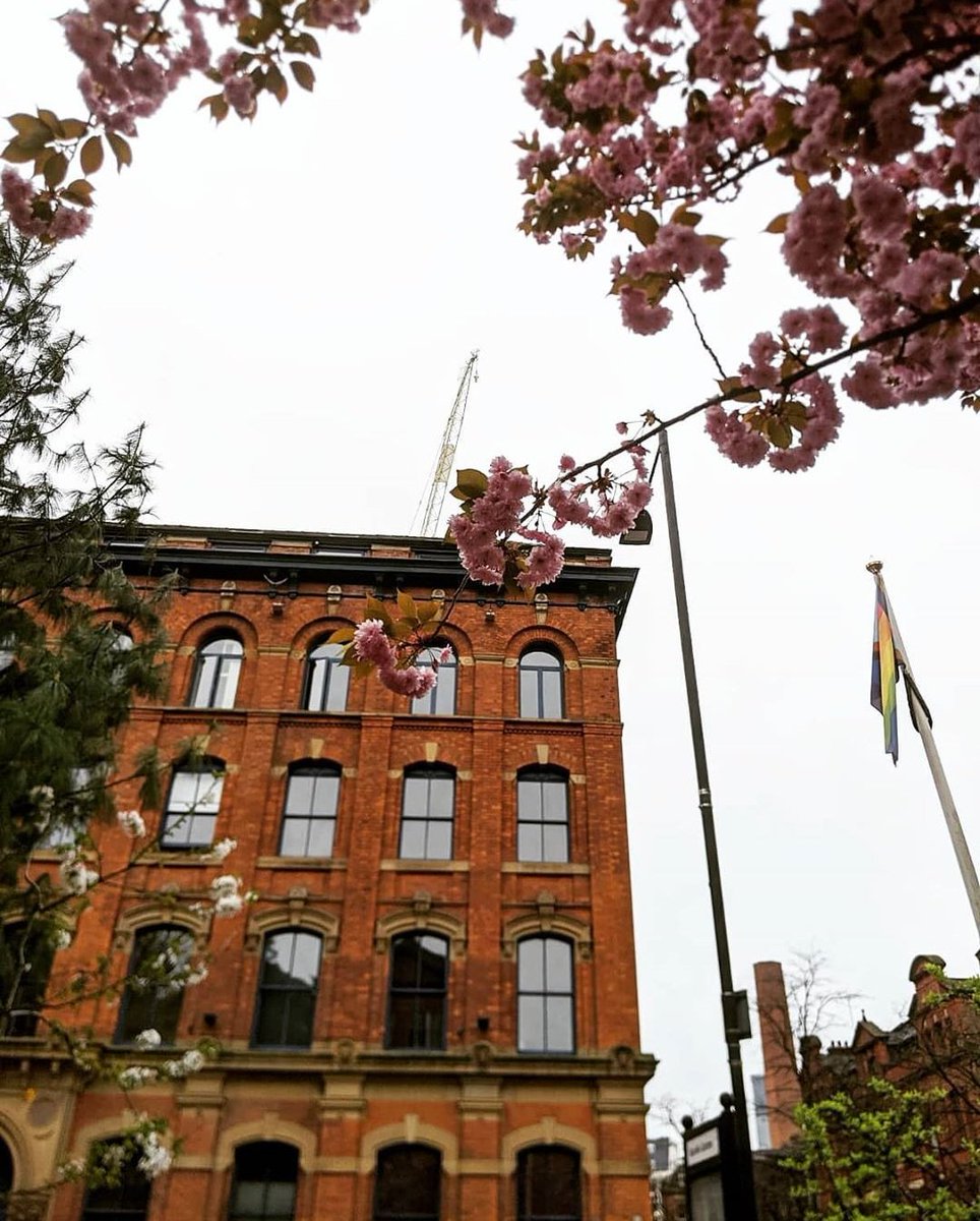snapsmcr's tweet photo. Blossom's Blooming 🌸💮
▫️
▫️
▫️
▫️
▫️
#snapsmcr #mcr #mcruk #manchestereveningnews #mcrphotography #photography #citylife #manchesterphotographyclub #manchestereveningnews #building  #architecture #sackville #sackvillegardens #gardens #blossom #spring #blooming https://t.co/2MQqCYZmWn