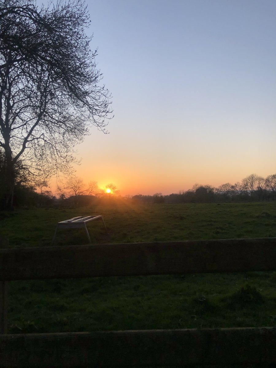 CatherineAa97's tweet photo. Learning to appreciate the nature around me! It can be seen that spring is a time of adding new life &amp; new beauty to all that is 🐑 🌷 #ITTM #StayHomeSaveLifes https://t.co/OqR3GGu73w