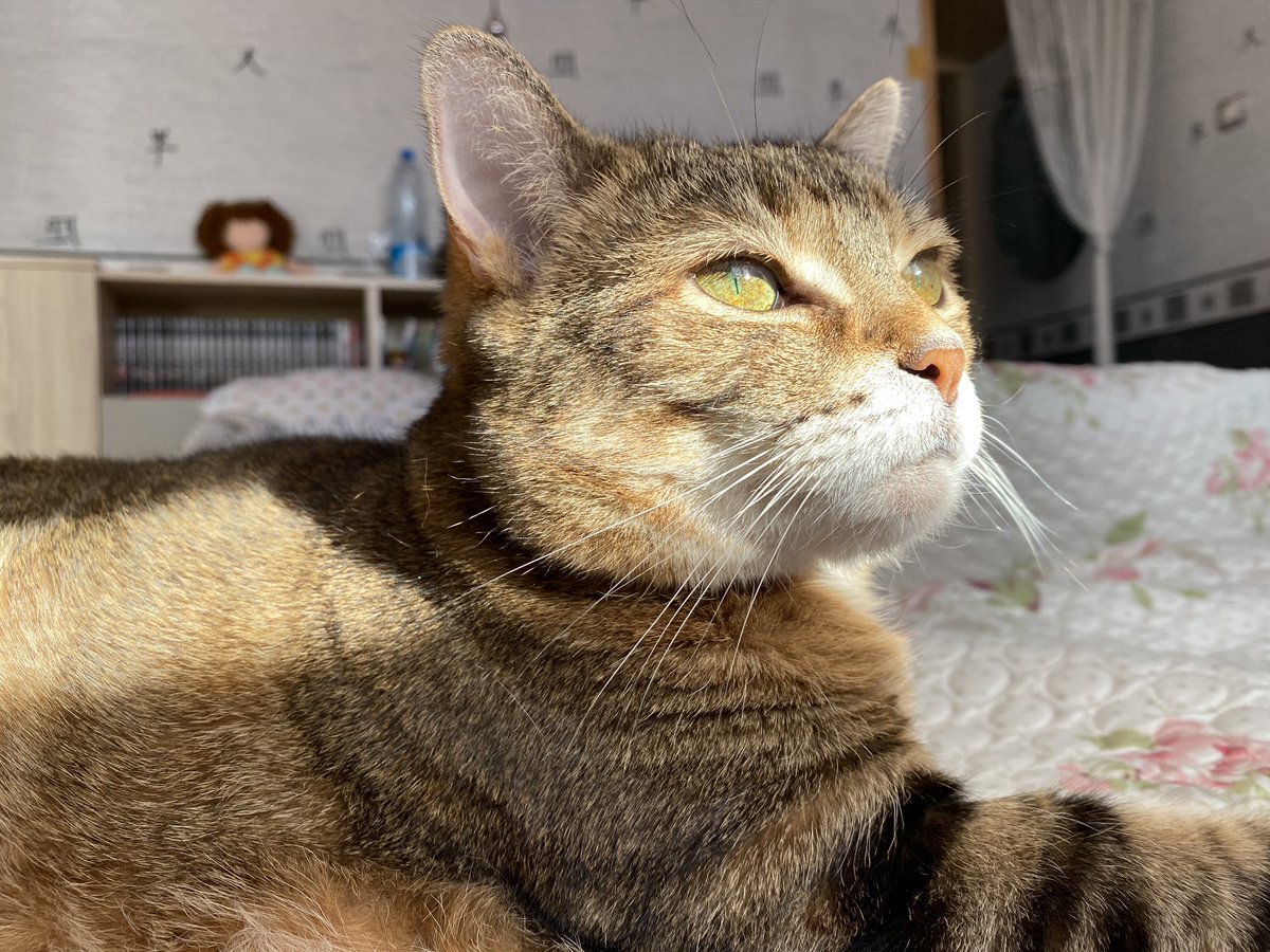 postbadnoisette's tweet photo. un petit rayon de soleil ☀️ https://t.co/ppudw6T84J