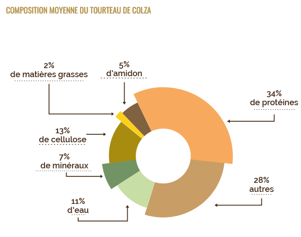 Ce coproduit riche en protéines en fait un ingrédient important pour l'alimentation animale