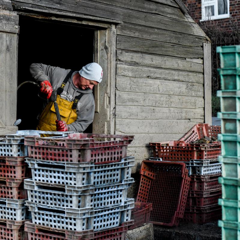 Use lockdown as a time to discover the incredible quality to be found from independent fishmongers and fisherman by shopping locally and direct! Check out <a href="/FishLocalGB/">Fish Local</a> to see what we’ve been up to 💪

<a href="/RoyalTWells/">Royal Tunbridge Wells</a> <a href="/rtwtogether/">Royal Tunbridge Wells Together</a> <a href="/ProducedinKent/">Produced in Kent Ltd</a> #fishlocalkent #fishlocalsupplykent