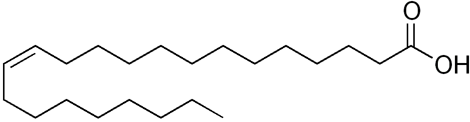 acide érucique (40-50% de la composition de l'huile de l'époque). Ce sont des acides gras mono-insaturés à longue chaîne, l'acide érucique est noté C22:1 (Chaine de 22 carbones avec 1 liaison insaturée.