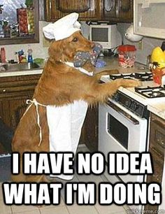 appliancey2k's tweet photo. Isolation can make a chef out of anyone. #mondaymotivation #appliancetech #appliancey2k #y2ktech #y2k #yyc https://t.co/90LXuPzkQF