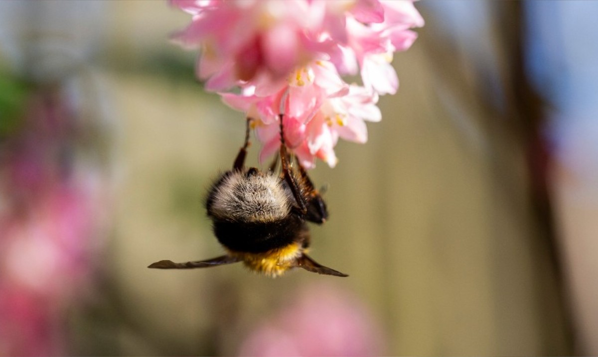 When the world feels like it's been turned on its head, just hold on.