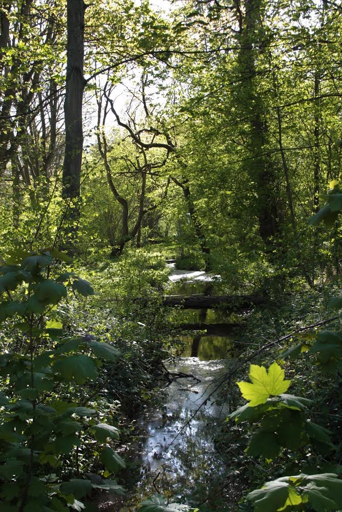 What a wonderful, beautiful world we live in.