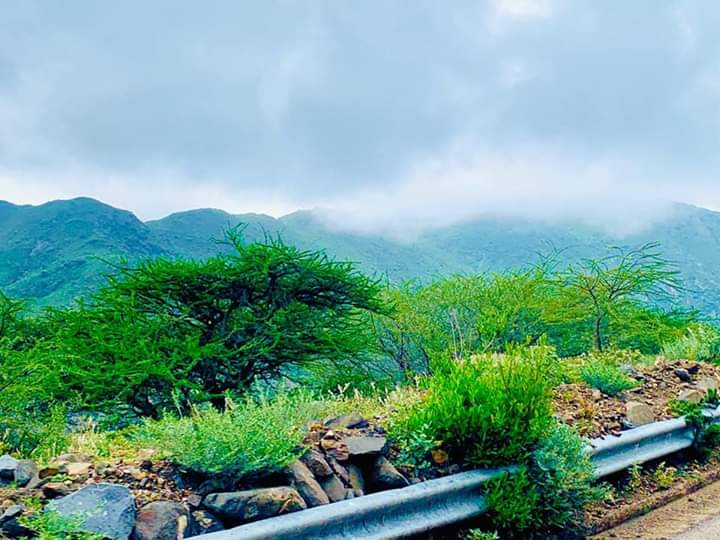 MohamettMursal's tweet photo. Dowga buurta shiekh ee waqooyiga Somalia 🇸🇴😍
#BILICDA DHULKEENA MUUJI🇸🇴✅😍 https://t.co/7z6i1S3kdu