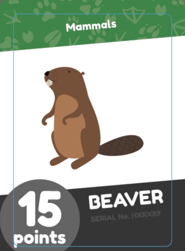 altogetherbrand's tweet photo. There’s still time to order your board game. Check out Planet B Race. #altogether_planet_b_race 
 #altogetherbrand https://t.co/9IV5vArk5f
