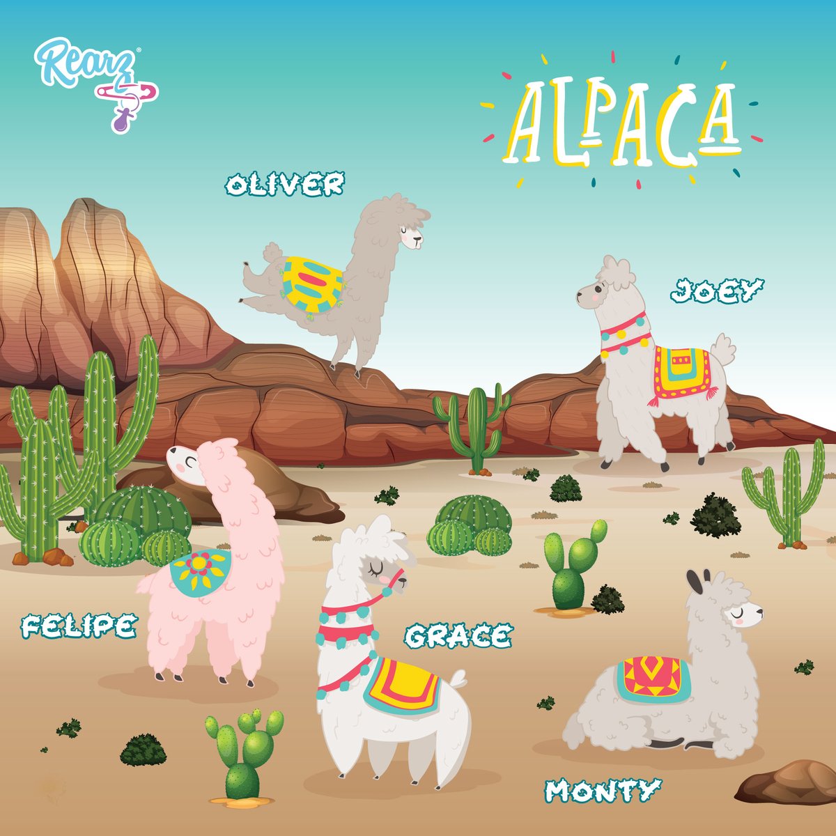 RearzInc's tweet photo. Introducing our newest group of friends! Alpaca! We have Oliver the leaping Alpaca, Joey, Grace, Felipe the rare pink Alpaca and Monty! 

Which Alpaca is your favourite? More details coming soon on the official product announcement! https://t.co/gtnCFz2ynM