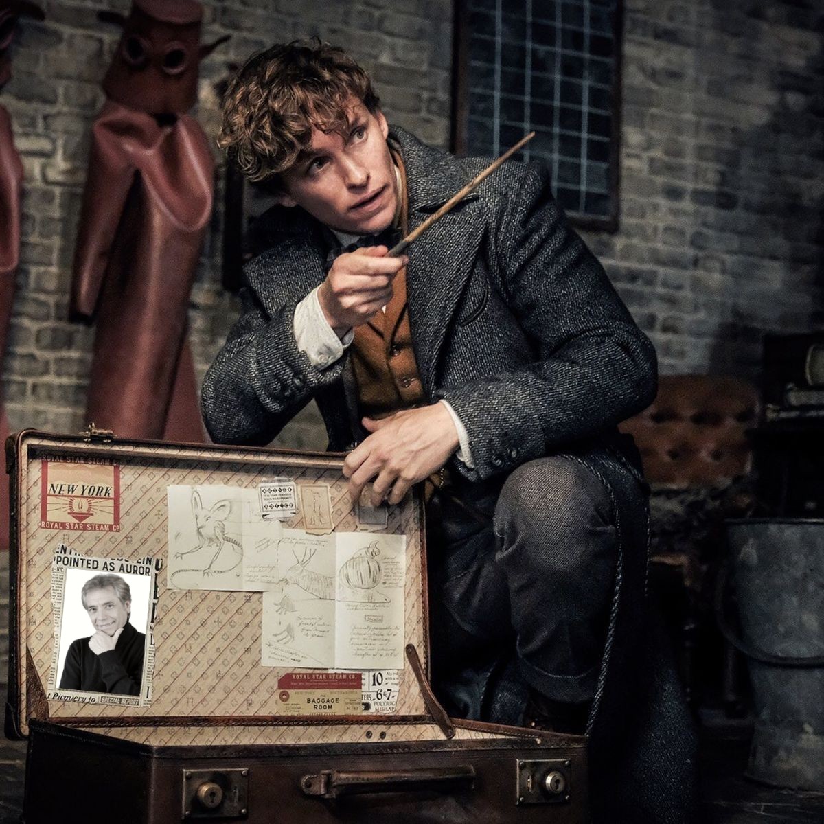 verità Pochi Minimo newt scamander valigia Puntualità Medico Data