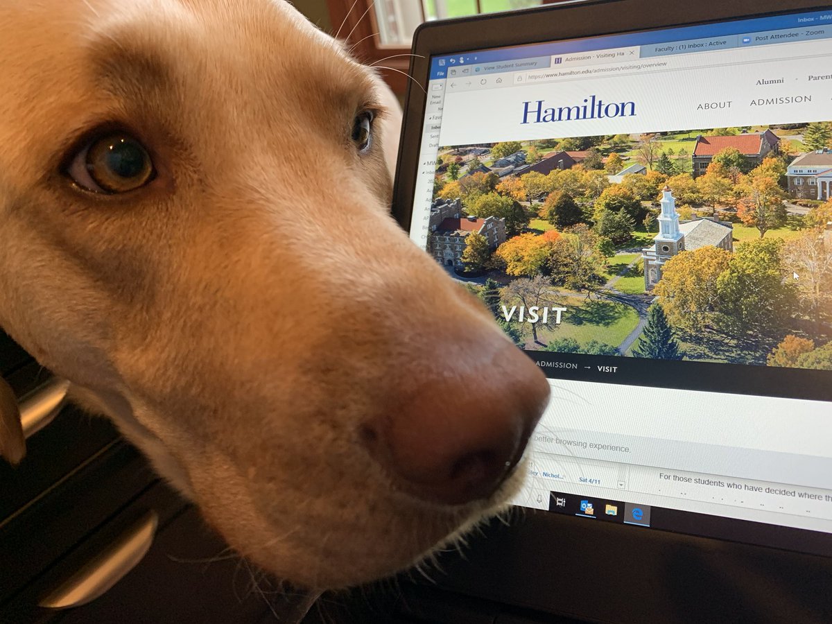 NicholsSchool's tweet photo. Director of College Counseling Mike Wagstaff, and his trusty assistant Bodie, are sharing virtual college tours for Nichols students! Make sure to follow the College Counseling Center @NicholsSchoolCC to see what schools they’re “visiting.”

#embracechallengediscoveryourself https://t.co/OR68n4Xc4q
