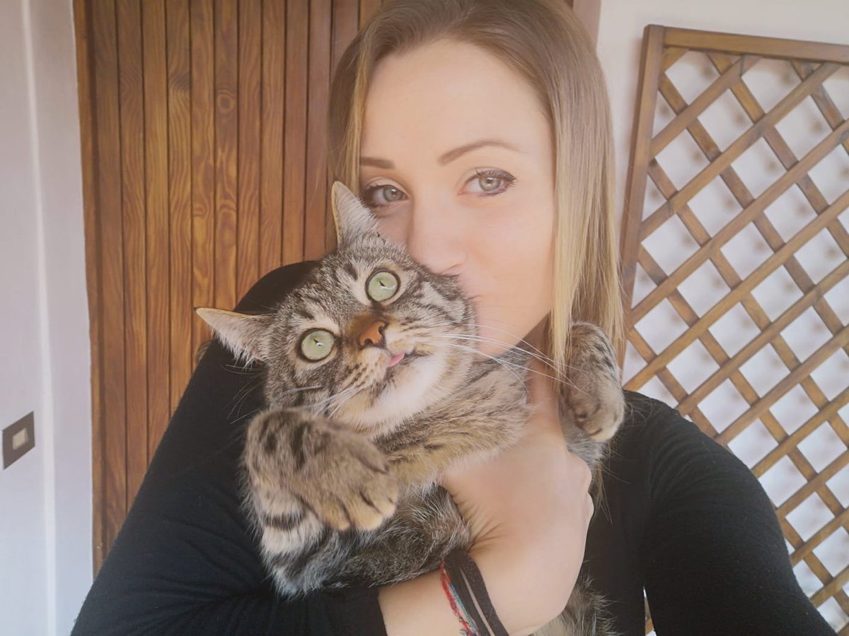 InsiemeV's tweet photo. Eccoci per il secondo appuntamento con la rubrica #mettiamociilmuso! Lei è Ludovica e lui è Gandalf, insieme da 5 anni!
Voi che aspettate? Mostrateci i vostri amici a 4 zampe e taggateci @insiemeavoi #gatti4milan #social4social #smm20 #jesurumlab
Donate https://t.co/QKRE7s4QM6 https://t.co/sZejVOQh1w