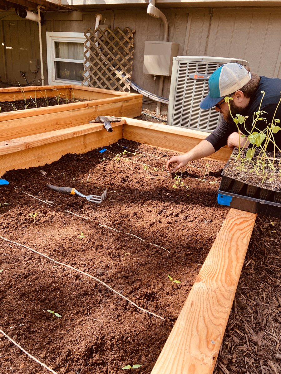 ashleaulm's tweet photo. Happy Earth Week! 🌎 We are planting our little veggies in our garden today on this perfect spring day! #olathespirit @andrewulm @WeRScarborough @olatheschools https://t.co/vQN3VMYMOg