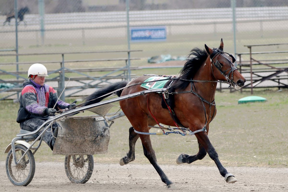 A few photos from our training session on Saturday, courtesy of Lori Martin.