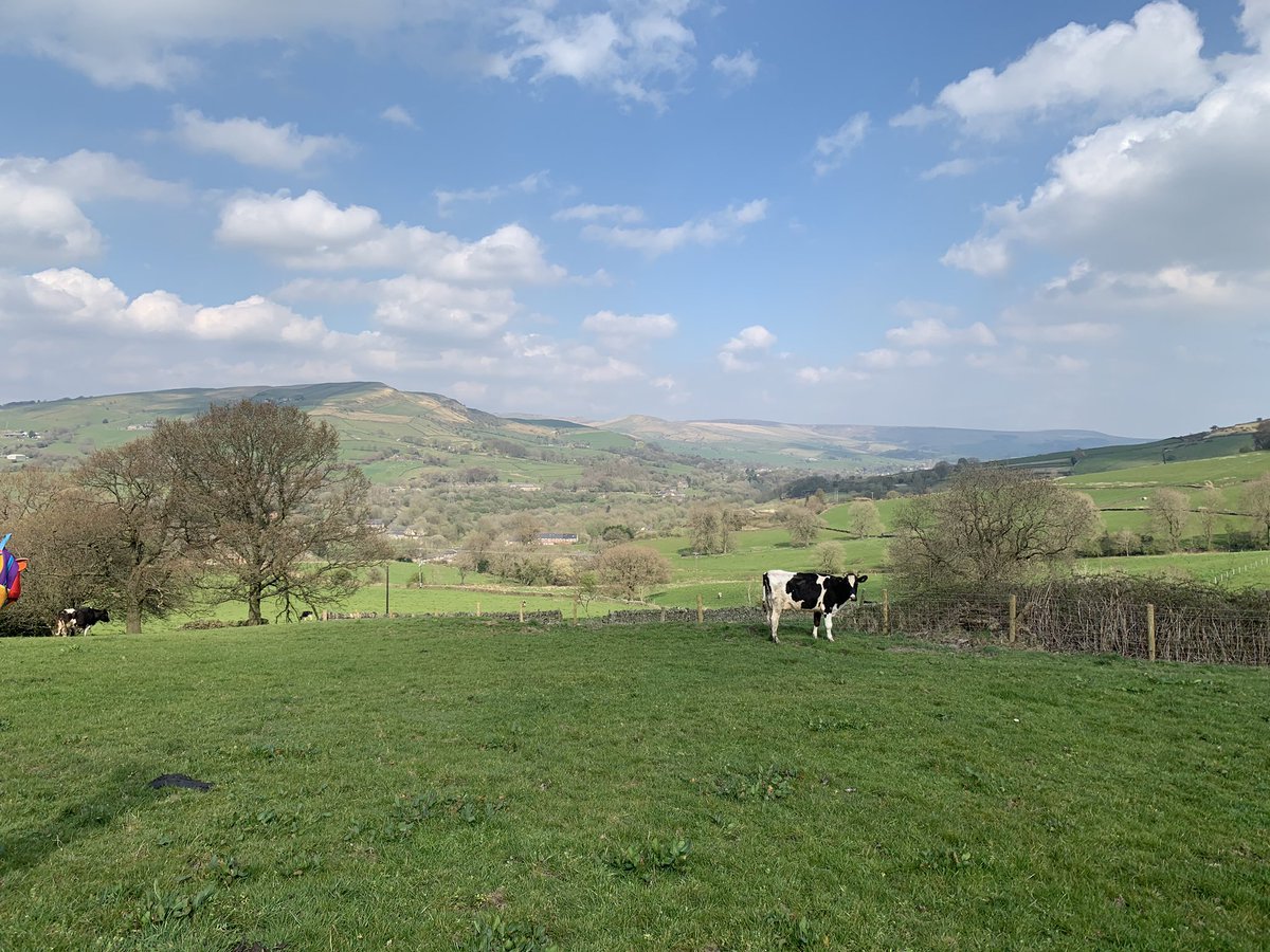 Sharing some big news for us: we’ve now taken ownership of 125 acres of ex-dairy farm land in the Peak District, adjacent to our house. It’s called Sunart Fields and the bold aim is to rewild the land, giving nature a true home to flourish in (and capturing some carbon)