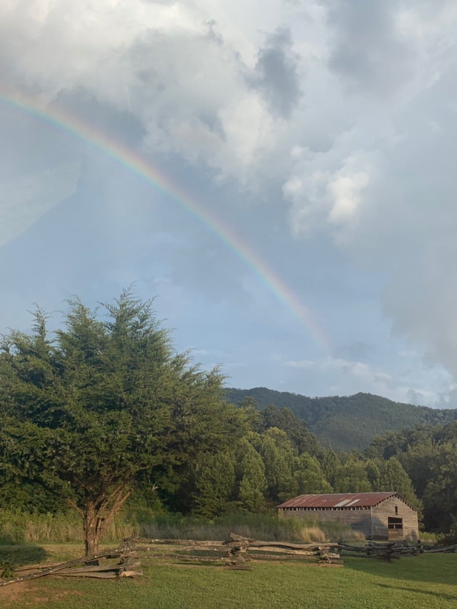 UTKMathCamp's tweet image. Happy last week of classes!!! Allow this picture from our trip to Cades Cove to give you a break!!!