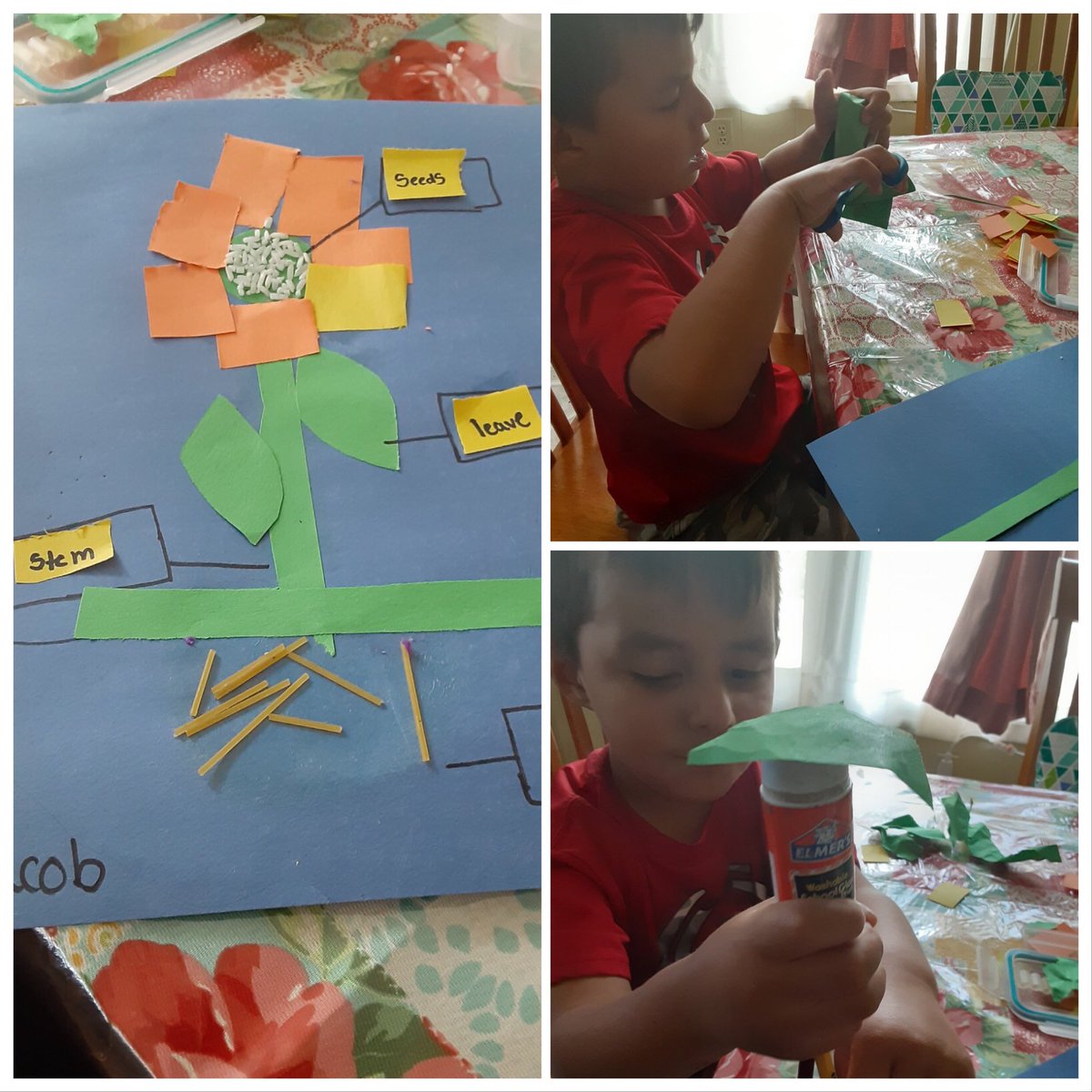 RCPS_EarlyLearn's tweet photo. This week are learning about the parts of a flower 🌸🌺.
##science #partsofaflower #science https://t.co/hcLsaur0qW