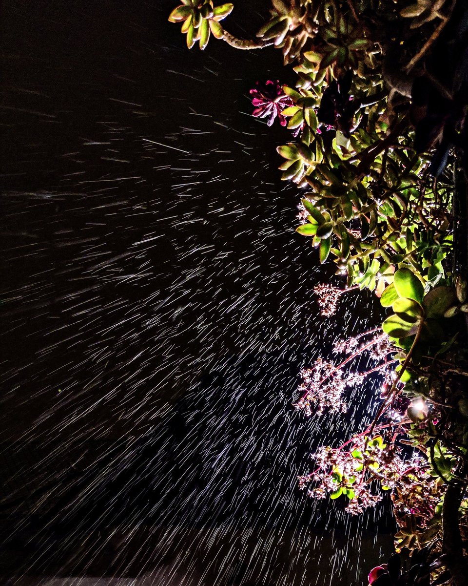 simbiosiestudi's tweet photo. Plou. #aiguaesvida https://t.co/9ERlY8EEct