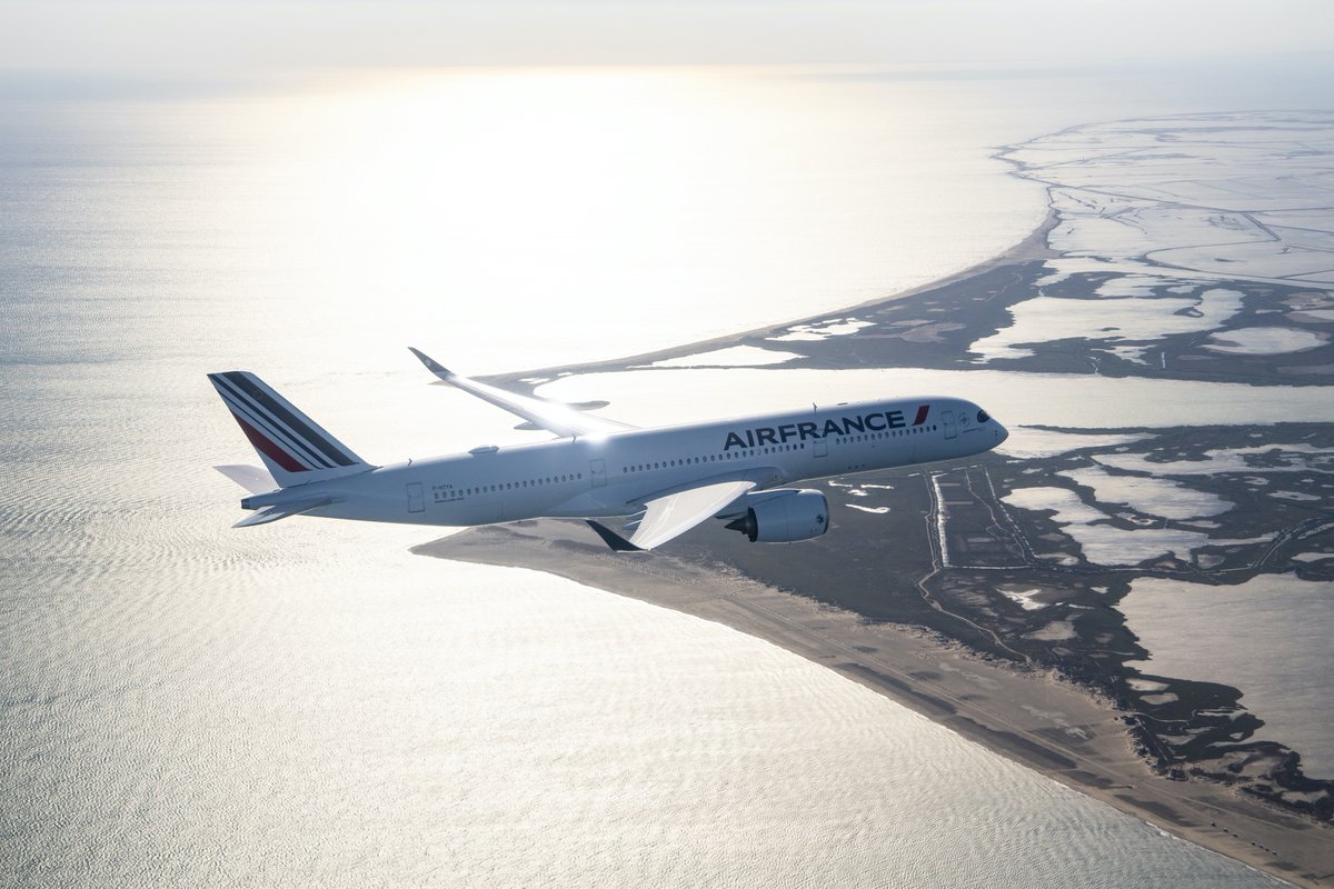 Malgré la crise, beaucoup de points positifs méritent qu'on y prête attention !Air France ?Les aéroports ? Orly ? CDG ?L'emploi ? La flotte ?La reprise du trafic ?La concurrence ?(Jolie photo, n'est-ce pas ?)Suite du thread précédent ==>  https://threadreaderapp.com/thread/1252335967547142144.html