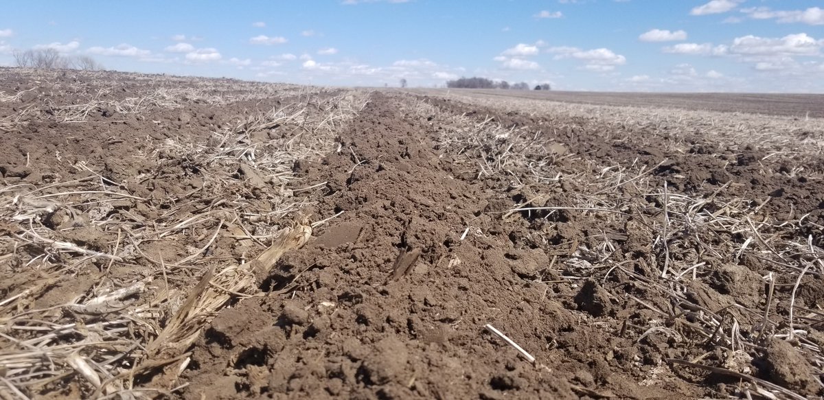 ag_midwest's tweet photo. Both rigs are making strips today! Conditions are great, haven't seen dust like this in awhile... #plant2020 https://t.co/JPwERttaHR