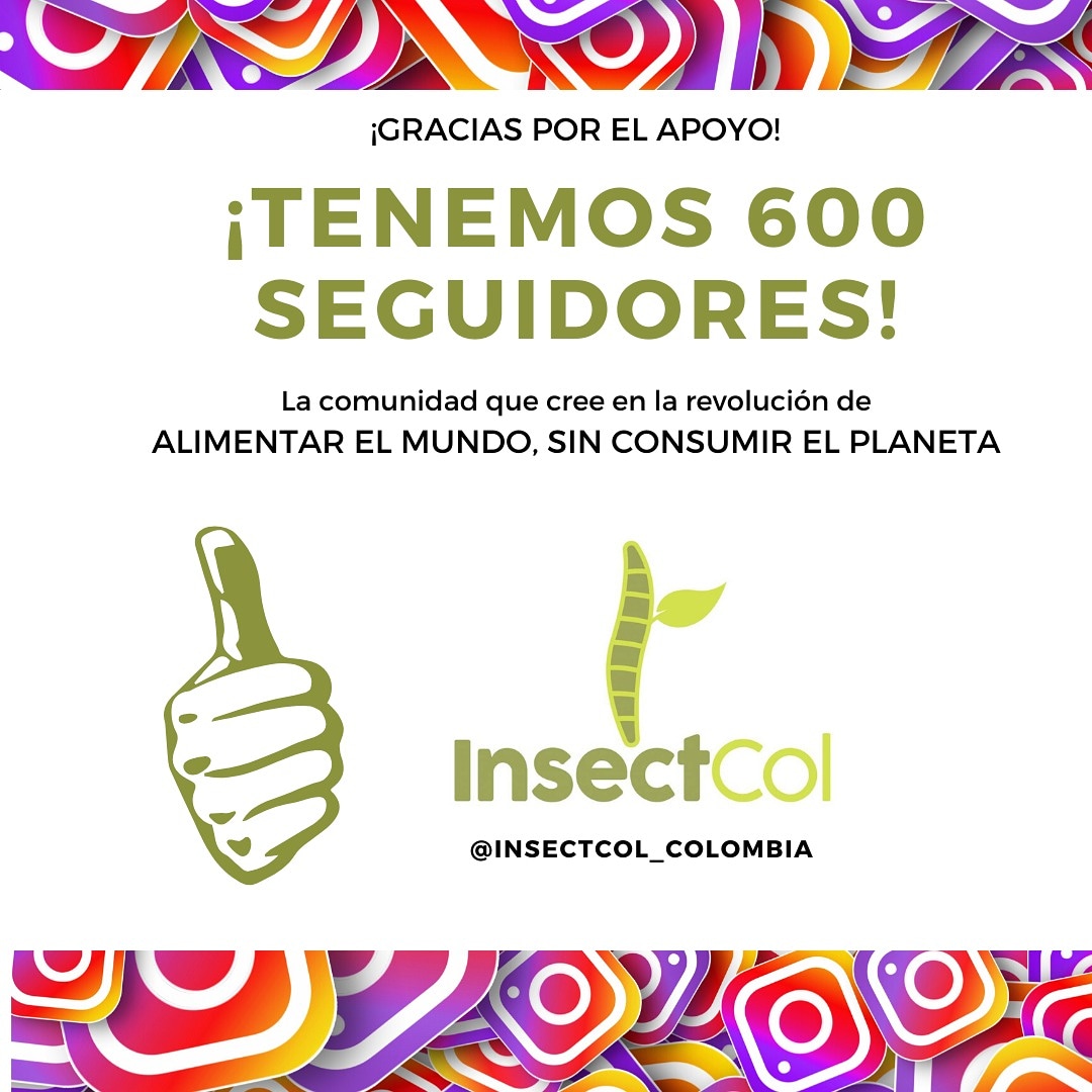 Insectcol's tweet image. Gracias a esta comunidad que cree en la revolución de Alimentar el Mundo Sin Consumir el Planeta, ya somos 600 en Instagram @insectcol_colombia