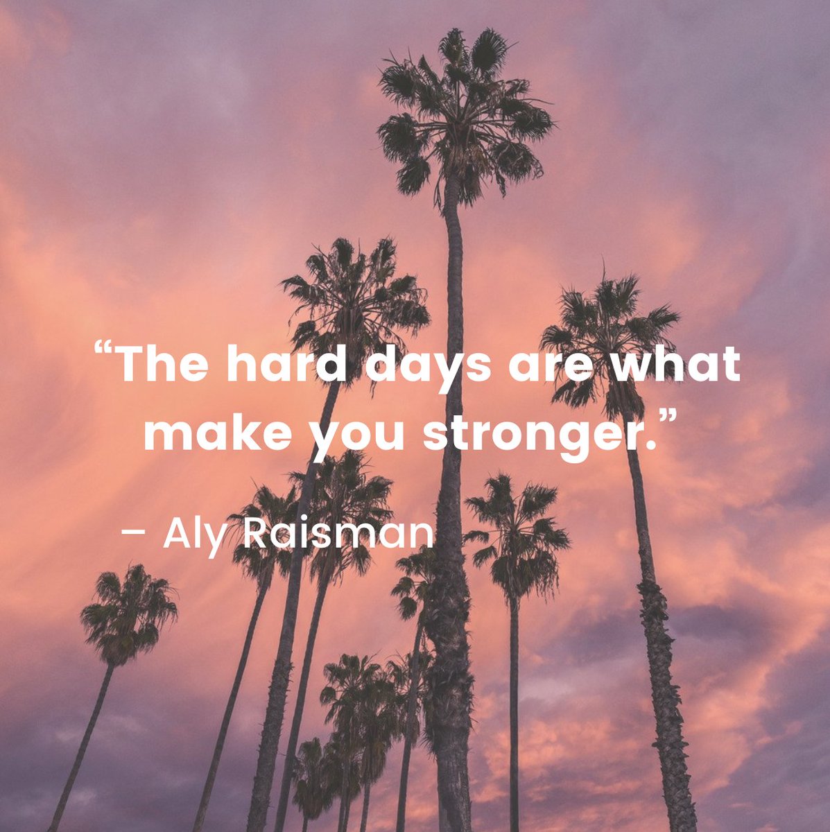 SDSUCompact's tweet photo. Happy Monday Compact Scholars!! Start the week with the right foot keep yourself motivated and strong!! Have a great day everyone. 💪💪💪🤩🤩🤩 #StrongerTogether #aztecs #sdsu #compact #compactscholars https://t.co/3A2NjlLLHa