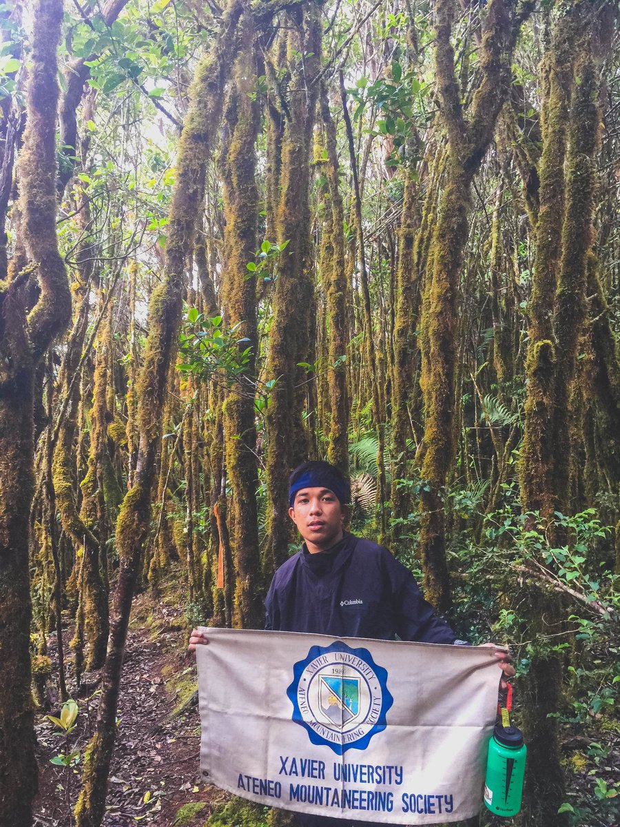 JardzRalph's tweet photo. Mt. Kalatungan ⛰️

2880 masl https://t.co/Jm6jdH4ZTZ