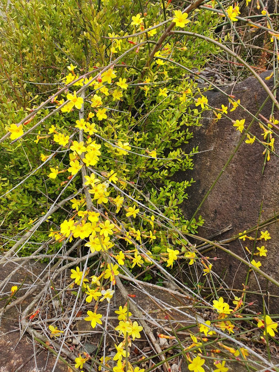 개마고원 화전민 (@ahs2352) on Twitter photo 