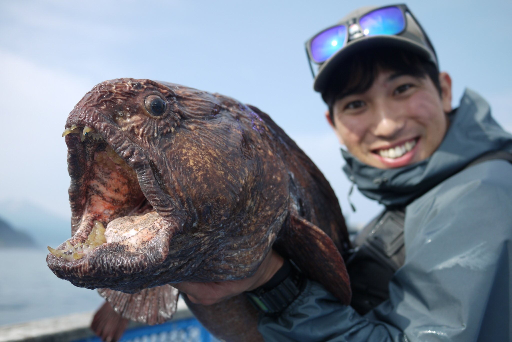 Saburina 噛まれたらひとたまりもないだろな オオカミウオ 釣り Bigfish19 Huercojp Fishing Wolffish Friluftsliv T Co 6vvi96gwry Twitter