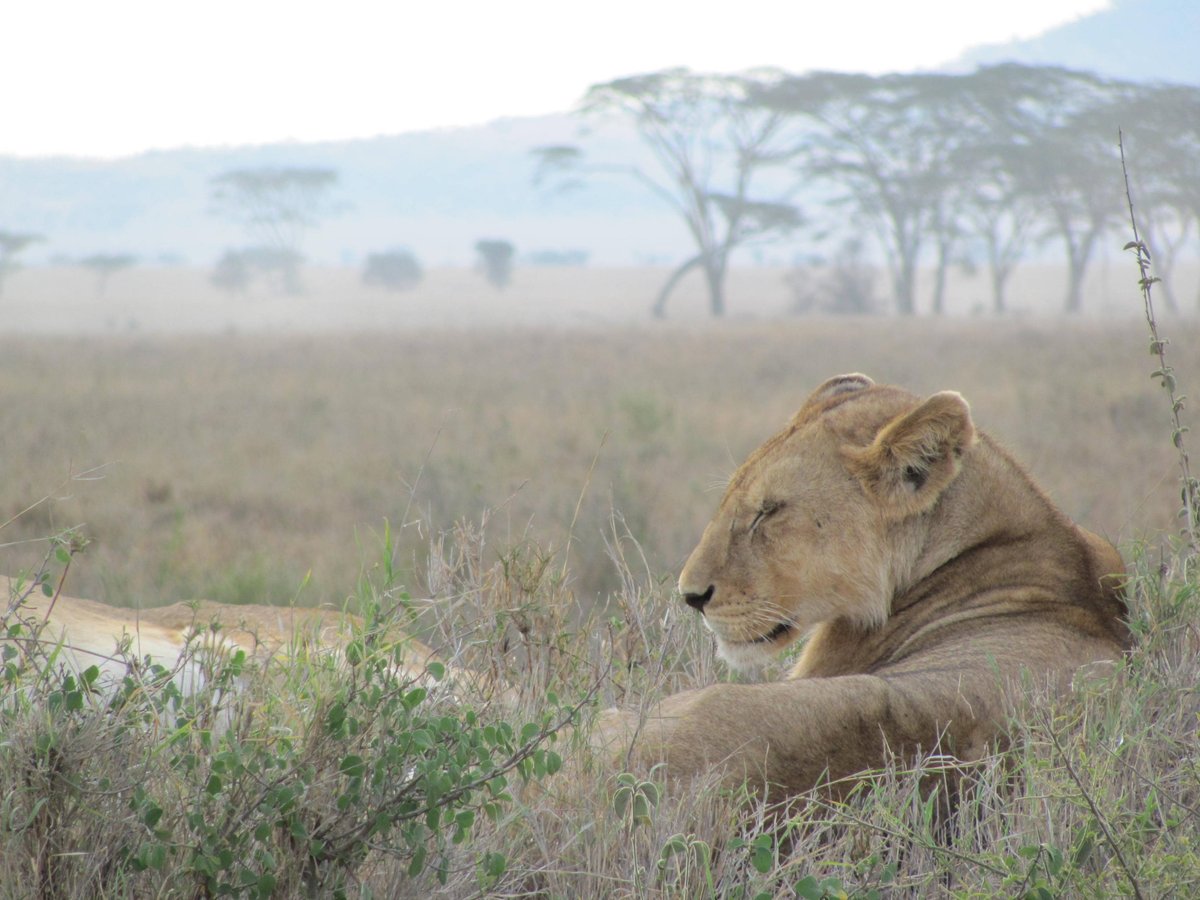 Julie Weckworth tweet media