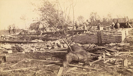 22. North Rochester, or Lower Town was the hardest hit. This section of the city was largely inhabited by working people. People are looking through piles of rubble. A dead horse is in the foreground, possibly impaled by a tree or branch.
