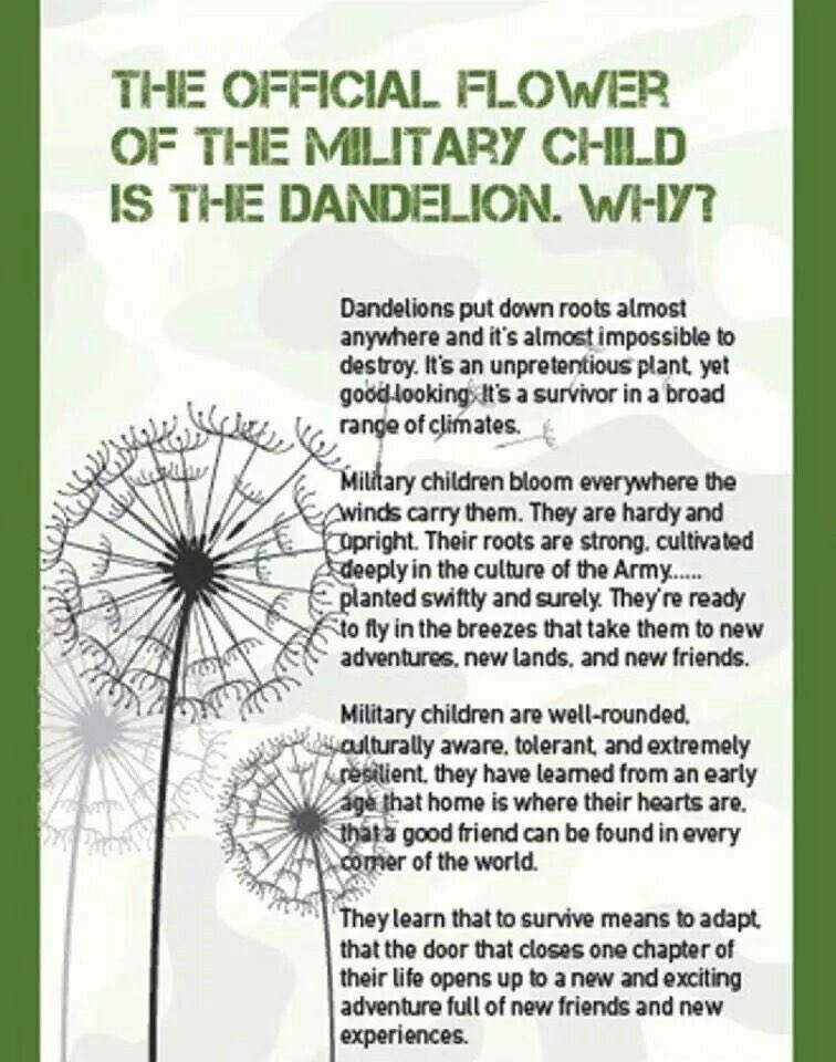 April honors military kids. A shout out to my four kids who learned at a very young age about commitment and sacrifice. Having Dual Military parents is not easy. We ❤️you!