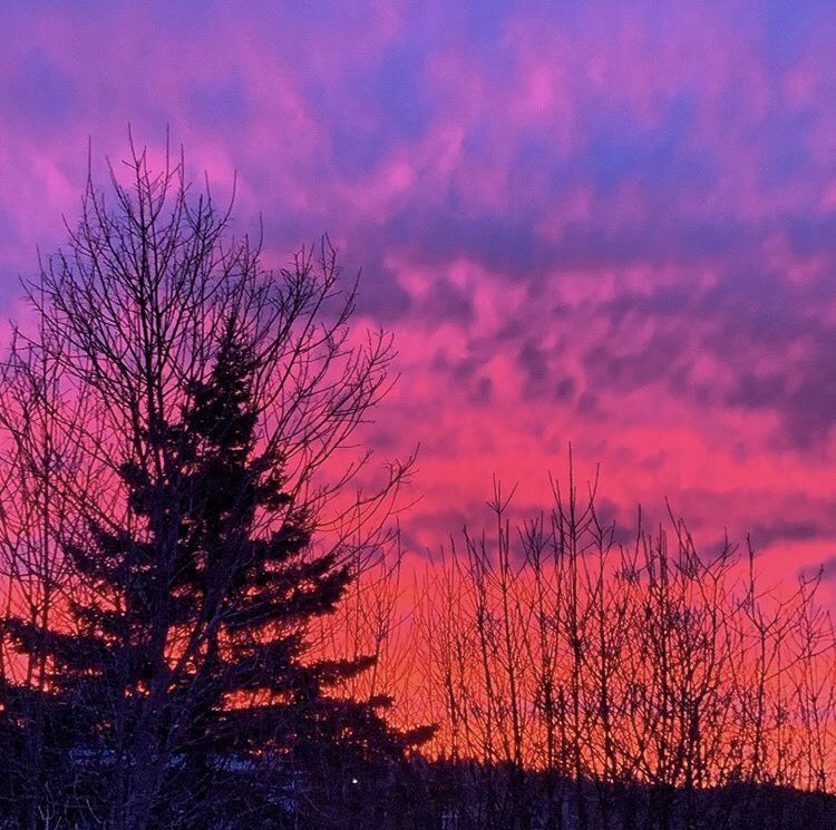 The sky Nova Scotia needed tonight. (Photo credit to my cousin Ashley.)❤️