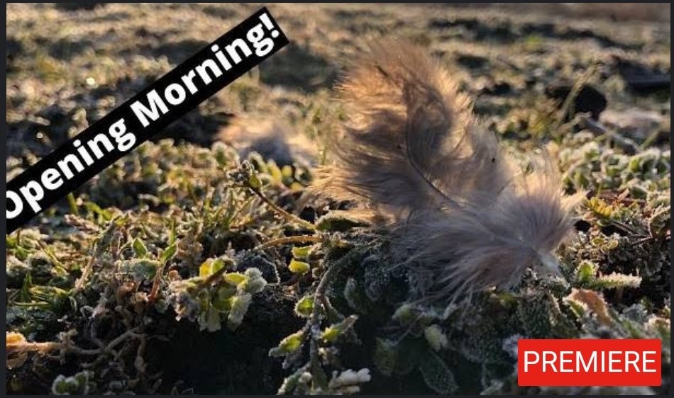 ManOverBeast's tweet image. Opening Day of Michigan Turkey Season - SMACK DOWN
youtu.be/qXKv1jb3vd8