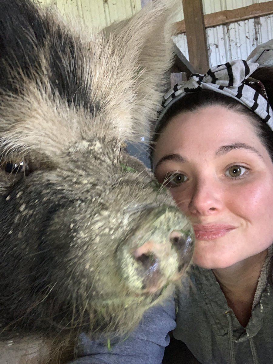JessicaScarbro4's tweet photo. @ChrisEvans You like to relax with your dog I like to relax with my pig it’s basically the same thing 😊 https://t.co/iIZTgOVFDt