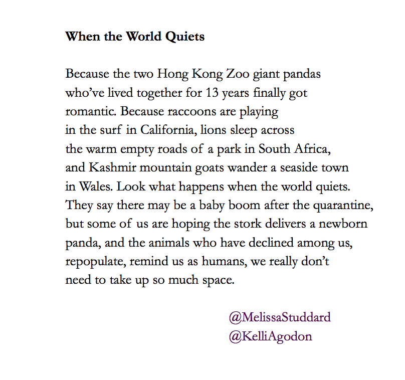 MelissaStuddard's tweet photo. Kashmir mountain goats wander a seaside town
in Wales. Look what happens when the world quiets.
--with @KelliAgodon
#poetry #poem #dailywave #Pandas #animals https://t.co/L6H7HZcYHe