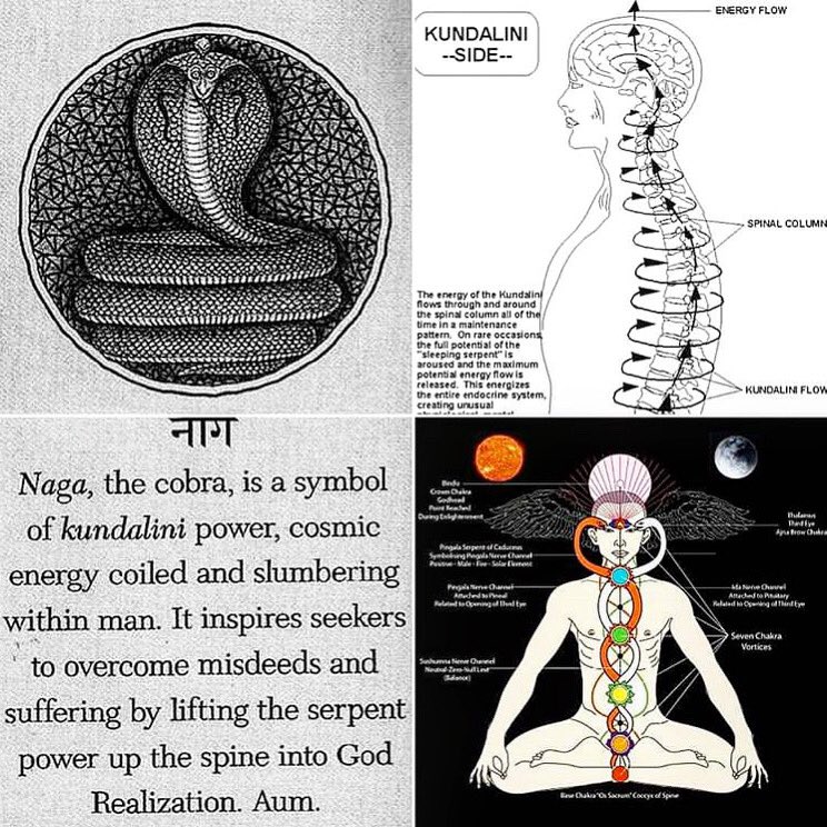  A thread on the kundalini serpent energy:Kundalini has been historically represented through the symbol of the serpent/snake. The translation of “Kundalini Shakti” from Sanskrit to English is “Serpent Power”.