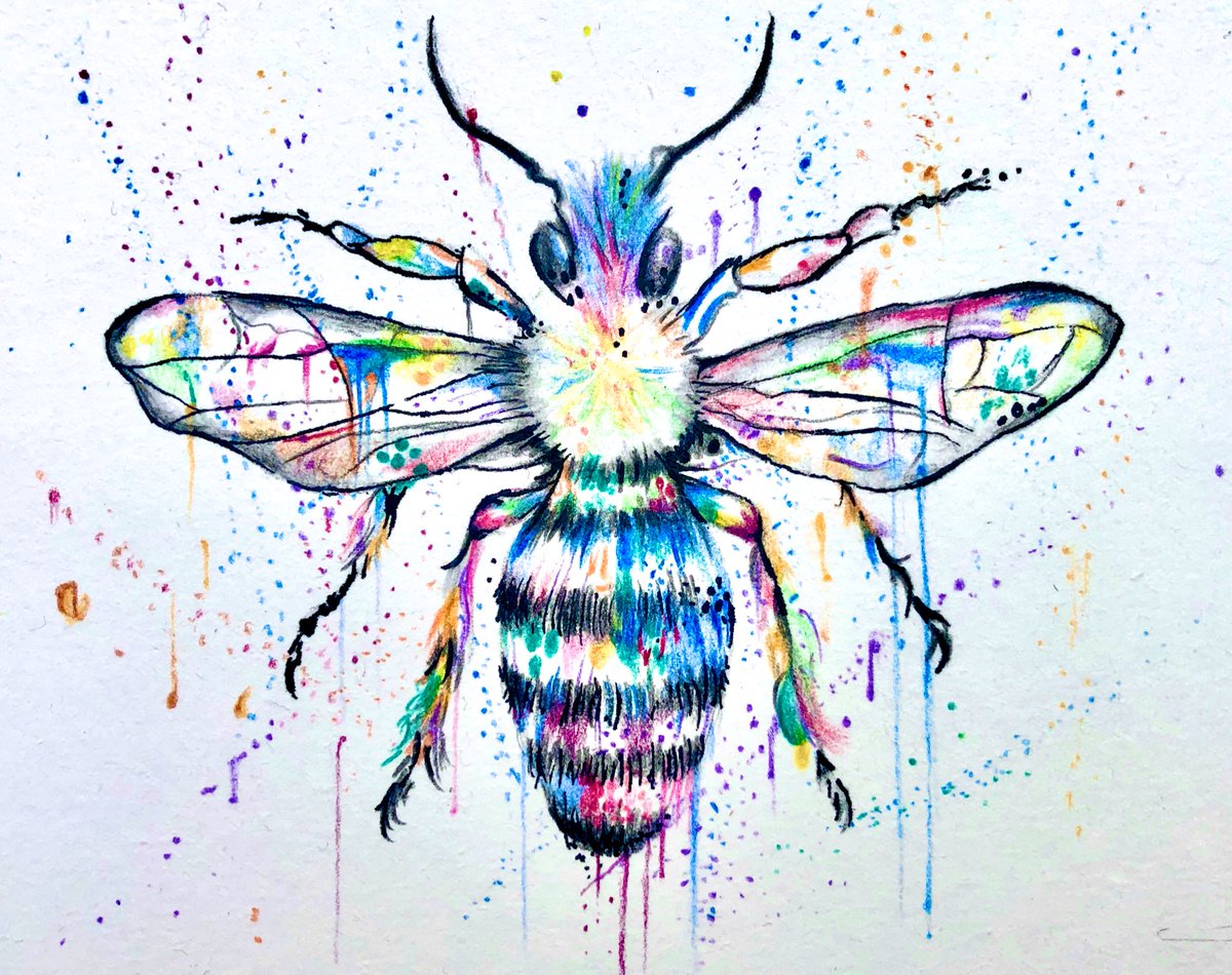 chrisfitzart's tweet photo. #watercolour #pencils #manchester #manchesterbee https://t.co/E4y3EEZ1oZ