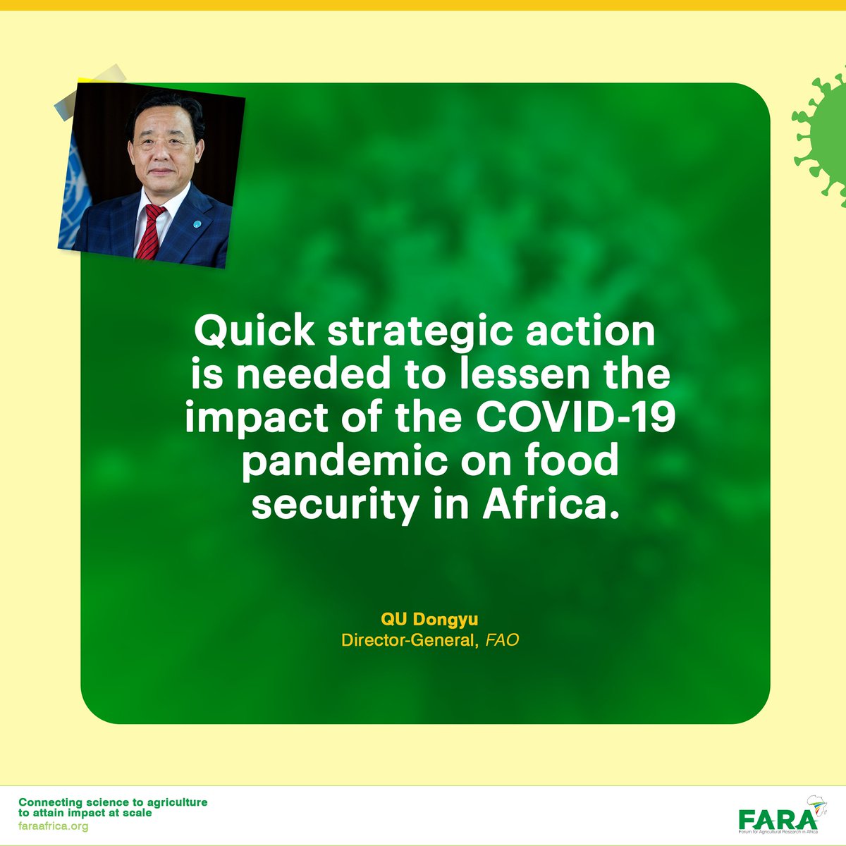 FARAinfo's tweet photo. Quick strategic action is needed to lessen the #impact of #covid19 pandemic on food security in Africa. #FARAonCOVID19 #foodsecurity #africa https://t.co/Mwk2BL6sBl