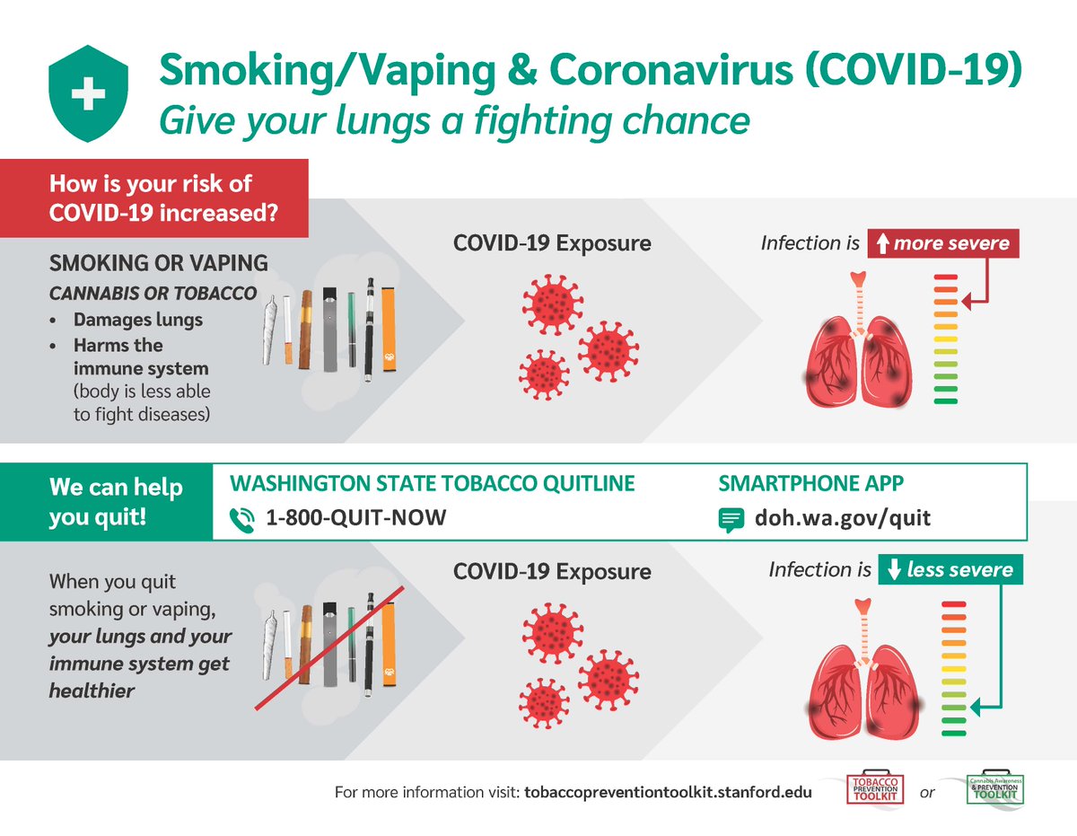 tobacco use deaths per year 🚨 👉 Tobacco causes over 1.1 million deaths from noncommunicable diseases  (NCD) in the European Region each year. Many of these deaths are  preventable. Are current policies strong enough—and fully enforced? 10