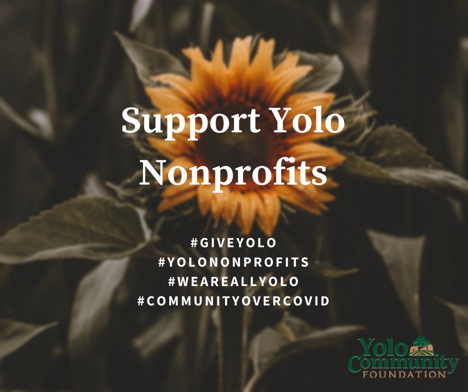 yolo_cf's tweet photo. Our local nonprofits are struggling in these unprecedented times, but you can help! Make a donation directly to the nonprofits in our community. https://t.co/4sB64x0Wtb #GiveYolo #YoloNonprofits #WeAreAllYolo #CommunityOverCovid https://t.co/pxD5OdfeeF