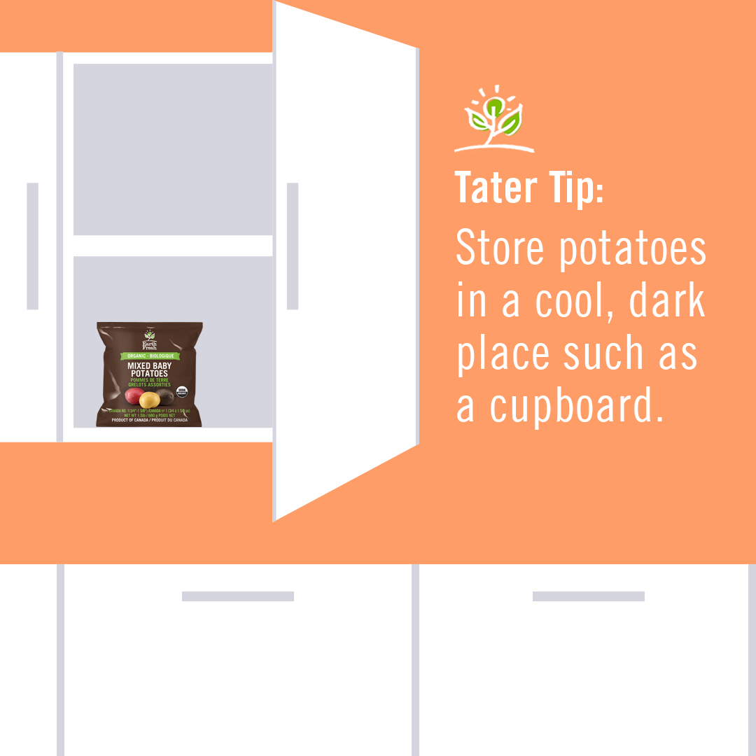 EarthFreshFarms's tweet photo. Preserve the quality and freshness of your potatoes by properly storing your potatoes in a cool, dark (..but not forgotten!) place.
Find helpful #TaterTips in our recent blog post:
https://t.co/ueOT21ssd0 https://t.co/VZaTTqsgH8