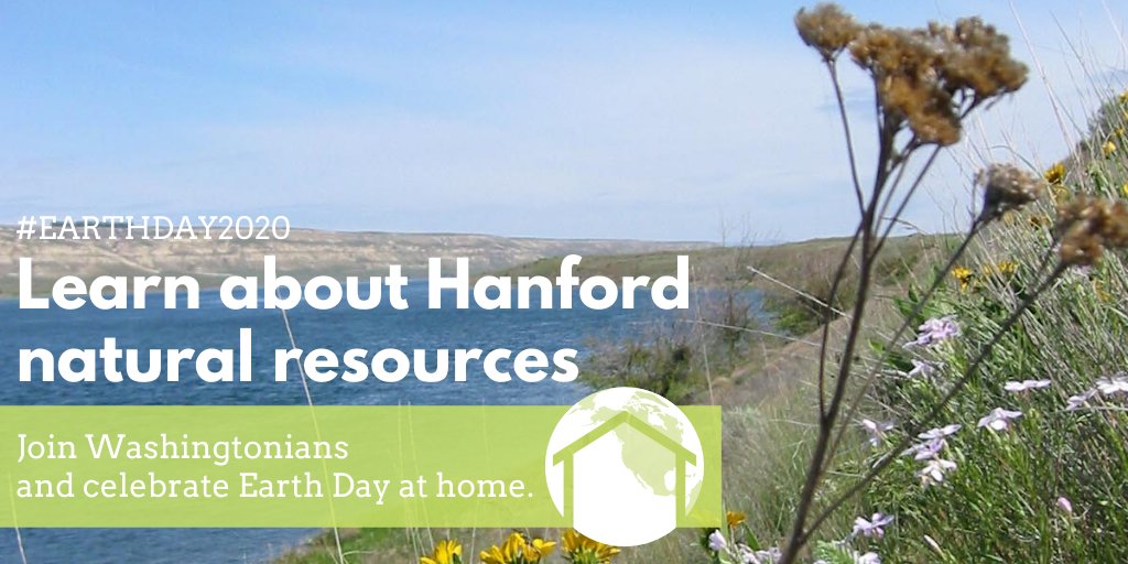 One way you can celebrate Earth Day at home this year is by learning about how we protect #Hanford's natural resources: ecology.wa.gov/Waste-Toxics/N…. #EarthDay2020 #EarthDay #Washington #Nature #Protection